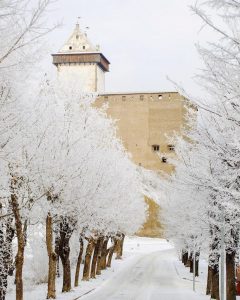 Autor - @kalevlait (Instagram)