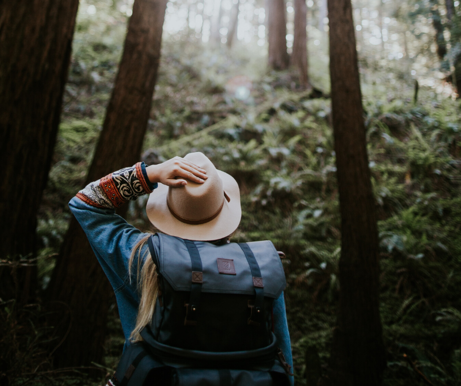 autolevi koroonaviirus